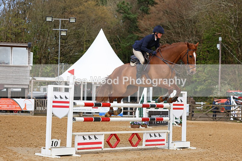 3E7A2119 - Class 8: Senior Foxhunter/1.20 open