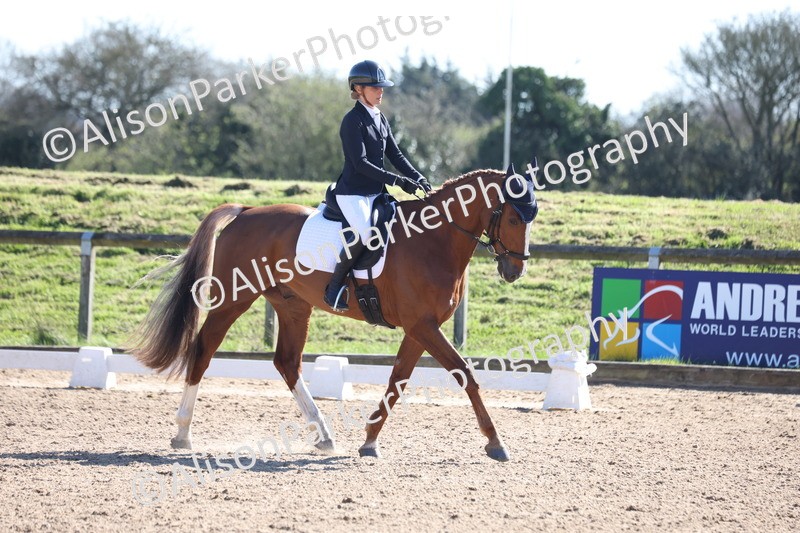 20260318-0530 - Class 5 - Novice 2