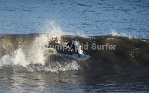 DSC_7602 - East Coast 27th Dec 2016