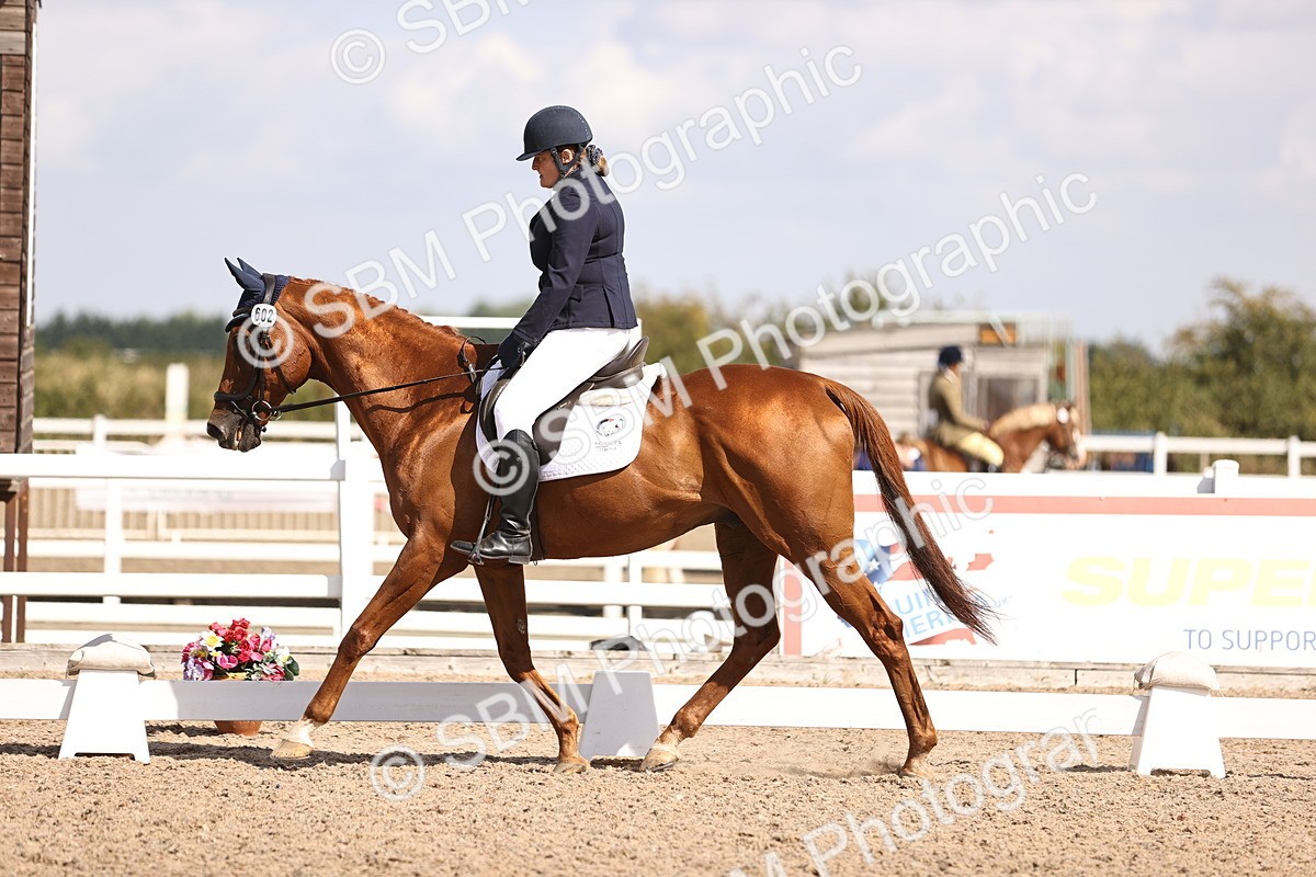 SBM_03665 - CLass 35 Intro 3