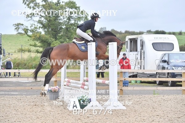 BPP_6774 - CLASS 1 Club/ Unaffiliated 80cms Open