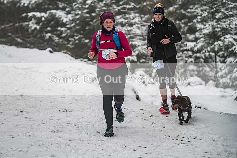 Glentress-902 - High Terrain Events Glentress 42, 21 & 10K Trail Races Sunday 15th February 2026