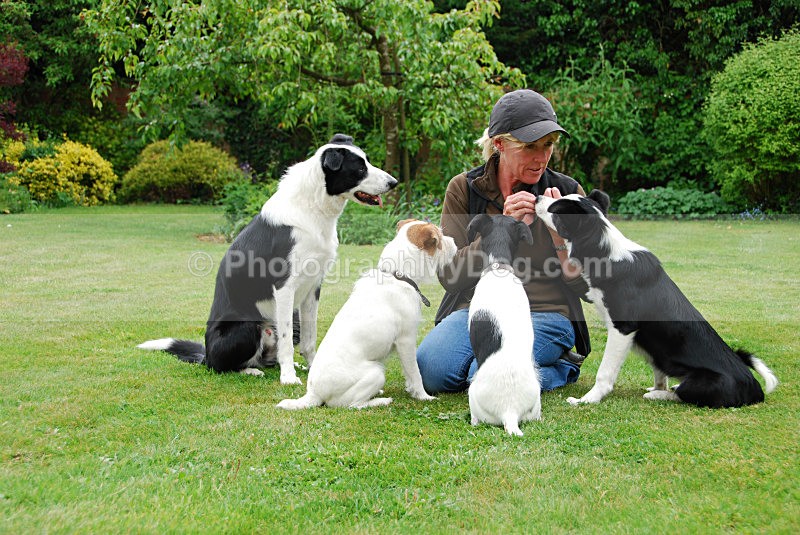 One woman and her dogs! - Man's Best Friend