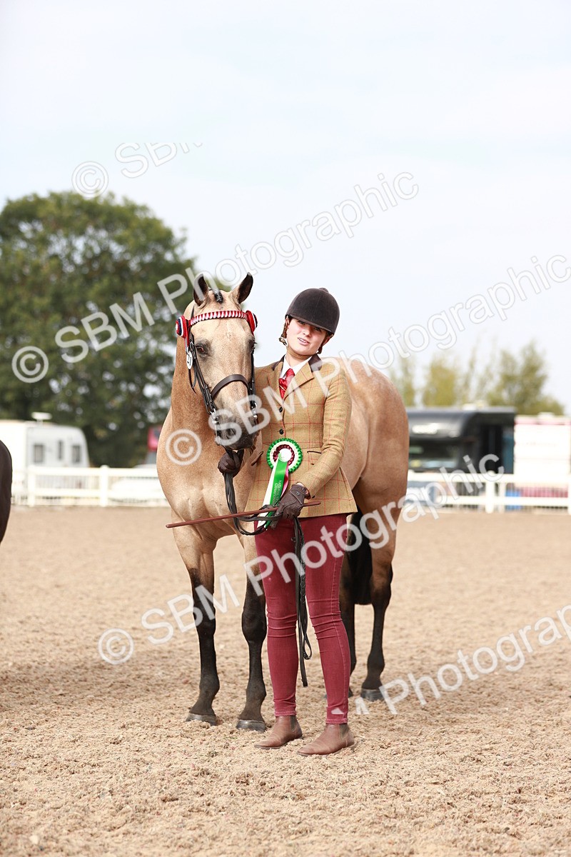 SBM_10625_Class 204 - Young Handler 11 to 16 Years - Cart - Laura