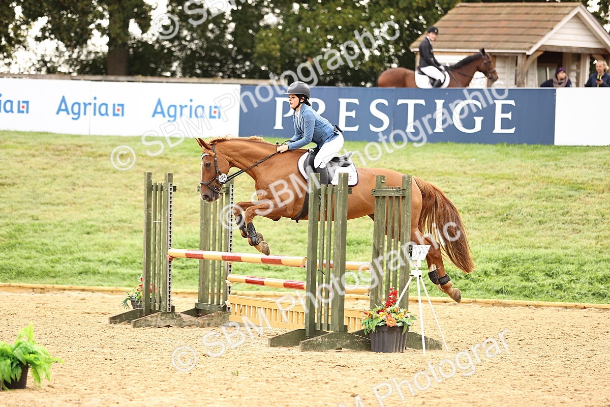 SBM_58525 - J41 - Grand Tour Horse & Pony 95cm