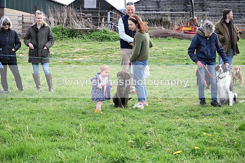 WJ6_8549 - Class 6 Best Rescue