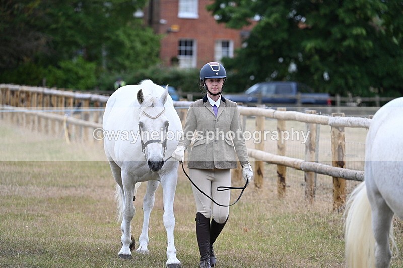 WJ7_9033 - Class 4a Prettiest Mare 14.2hh and over