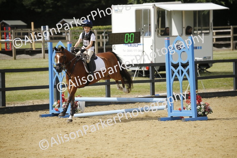 20250622-3820 - 50cm