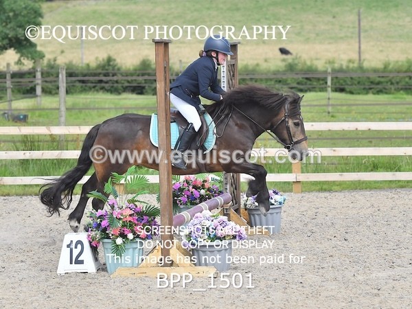 BPP_1501 - DERBY CLASS 3 - 40CM