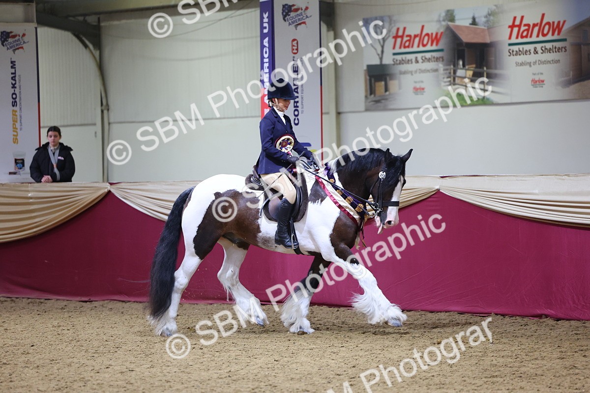 SBM_18587 - Class B Junior Champ 11-16 years