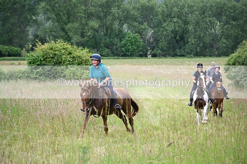 WJ6_8190 - Camera 1 Gallops
