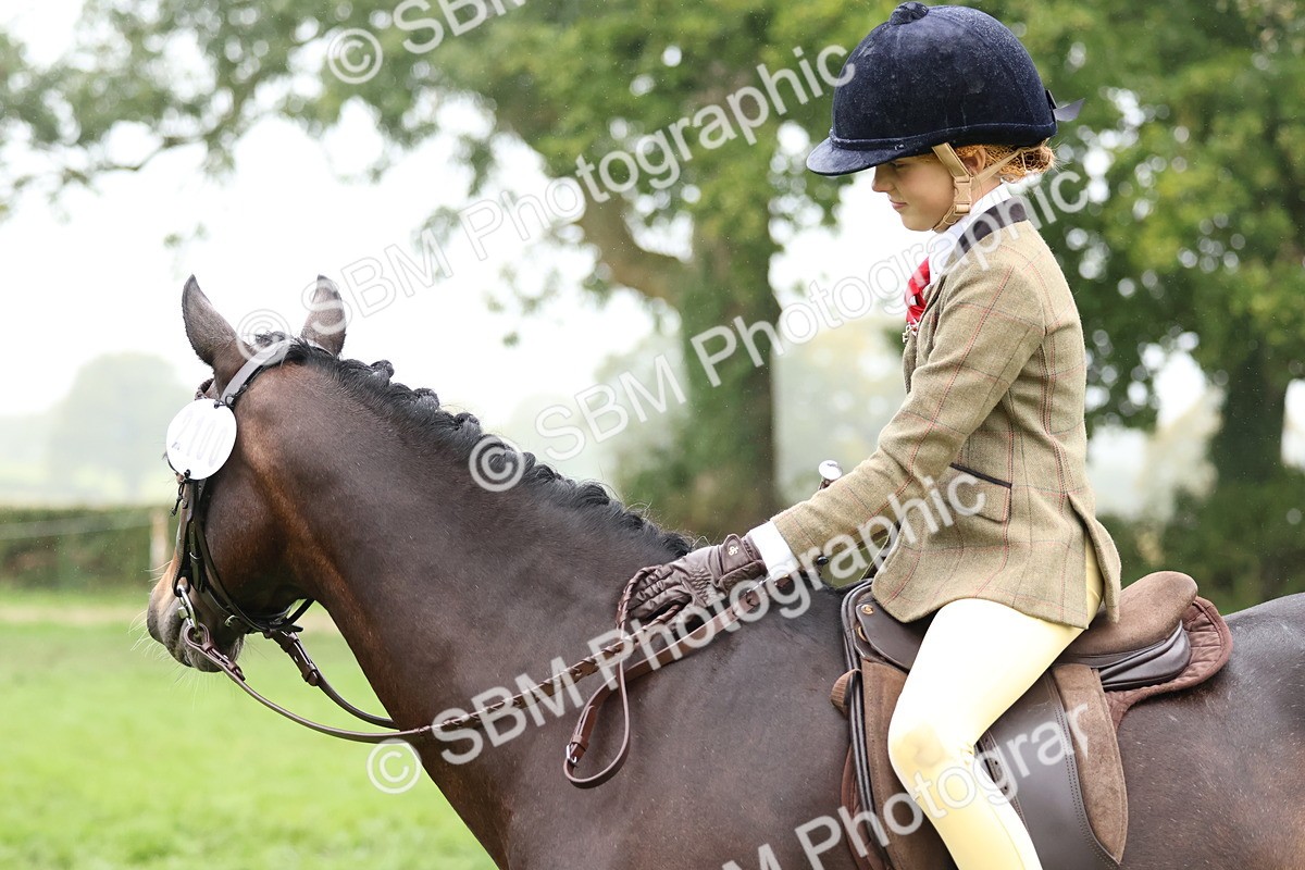 SBM_73064 - S63 Show Pony & Show Hunter Pony Ridden