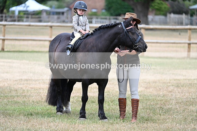 WJ7_9724 - Class 1 Lead Rein Pony