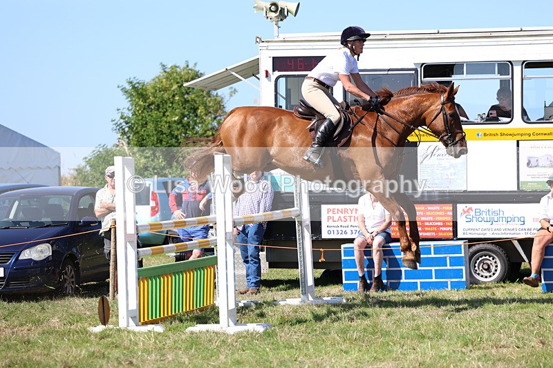 3E7A6461 - Class 13: Senior Newcomers/1.10m open