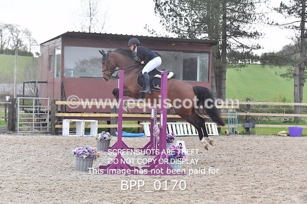 BPP_0170 - CLASS 1 FRI Club/ Unaffiliated 80cms Open