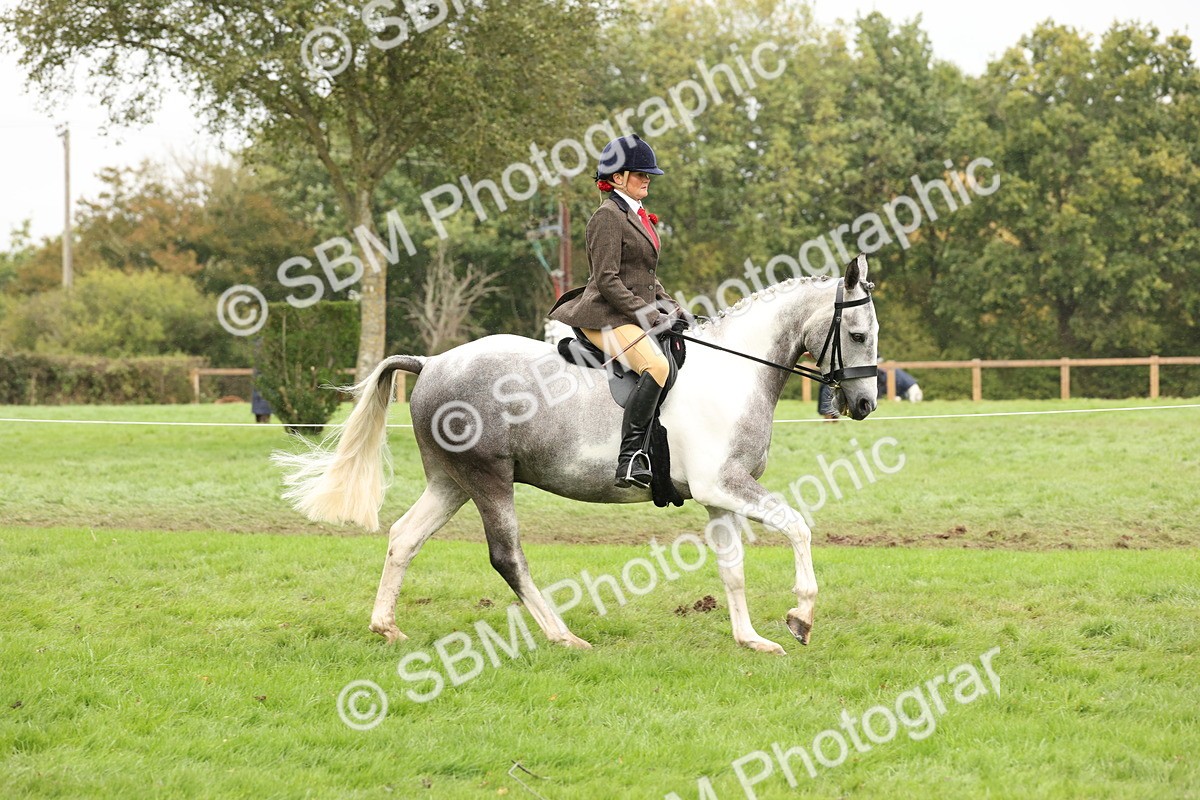 SBM_69886 - S68 - Other Coloured Horse Ridden