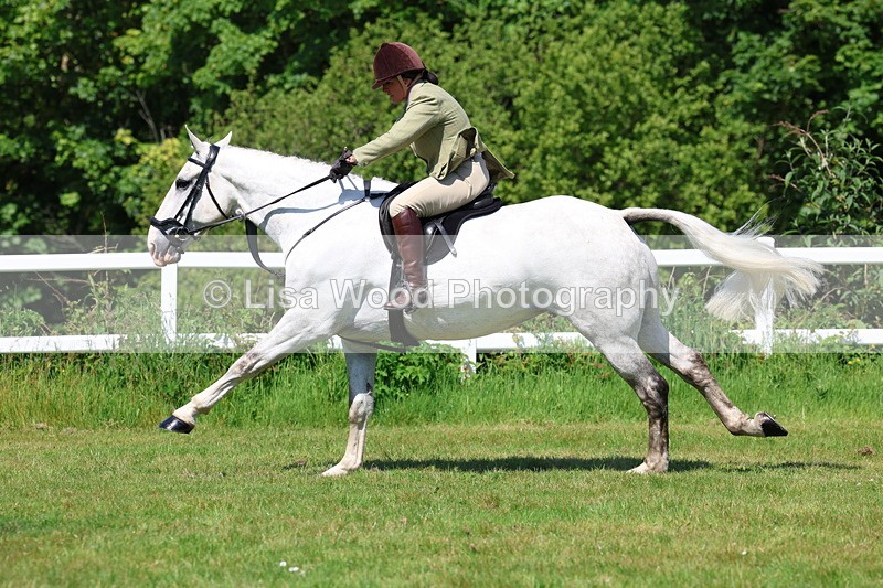 3E7A6921 - Class 30: Novice Working Hunter