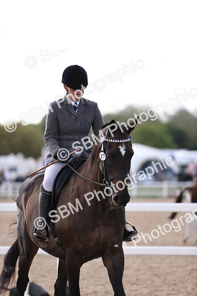 SBM_11645 - Class 408 - Grassroots Ridden - Walk & Trot