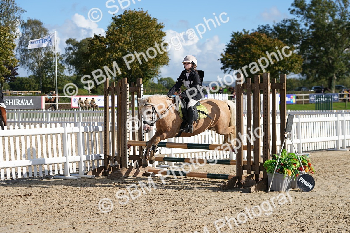 SBM_49284 - J8 - Junior Pony 65cm Championship