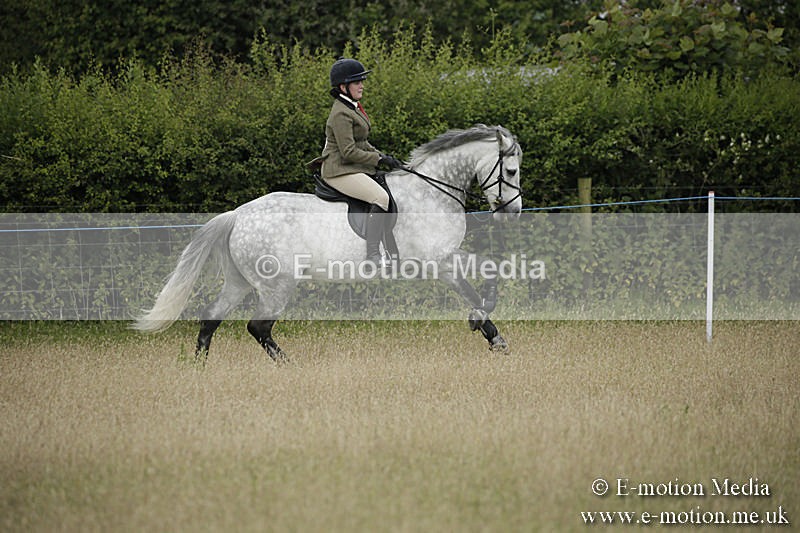 B230619-0138 - Bourne Valley Riding Club Summer Show 23/06/19