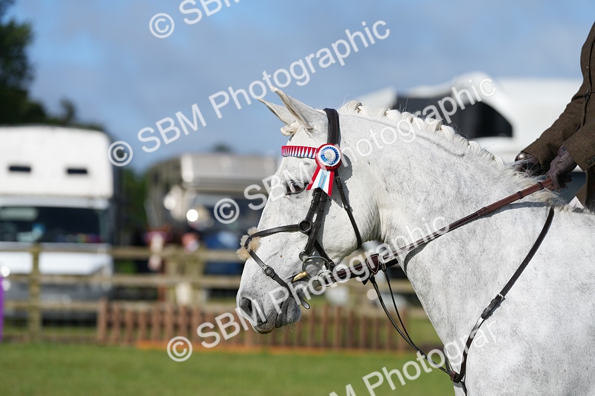 SBM_10487 - Class 97-98 - LIHS BSHA Rising Star Working Show Horse Hunter