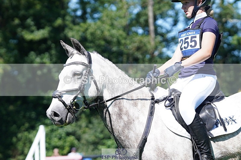 240811A-144012-04392 - 255-