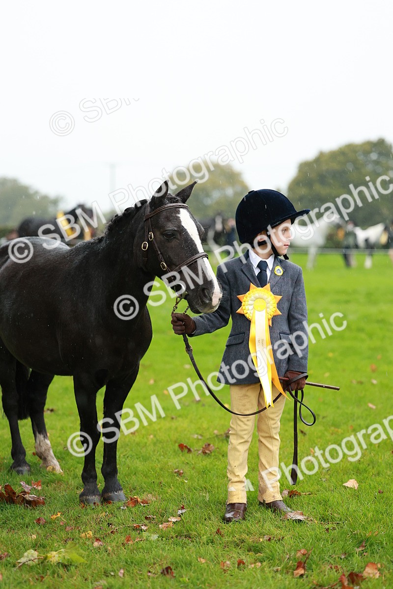 SBM_34958 - S10 - Best In Hand Horse & Pony