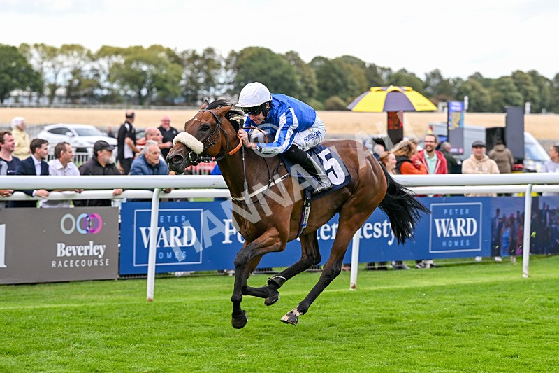 170925-Race 2-Lady Youmzain-4096 - Race 2