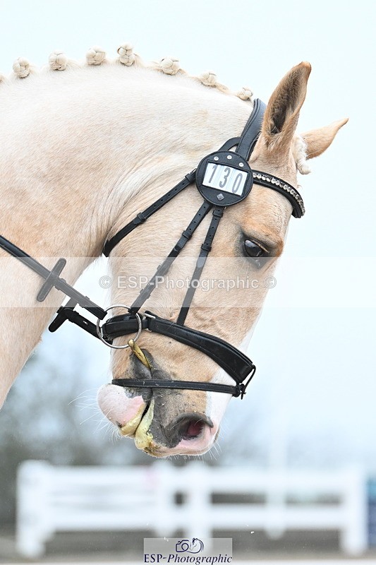 240217A-091737-00324 - 130-Kate.Kerswell-Top.Gun.RB