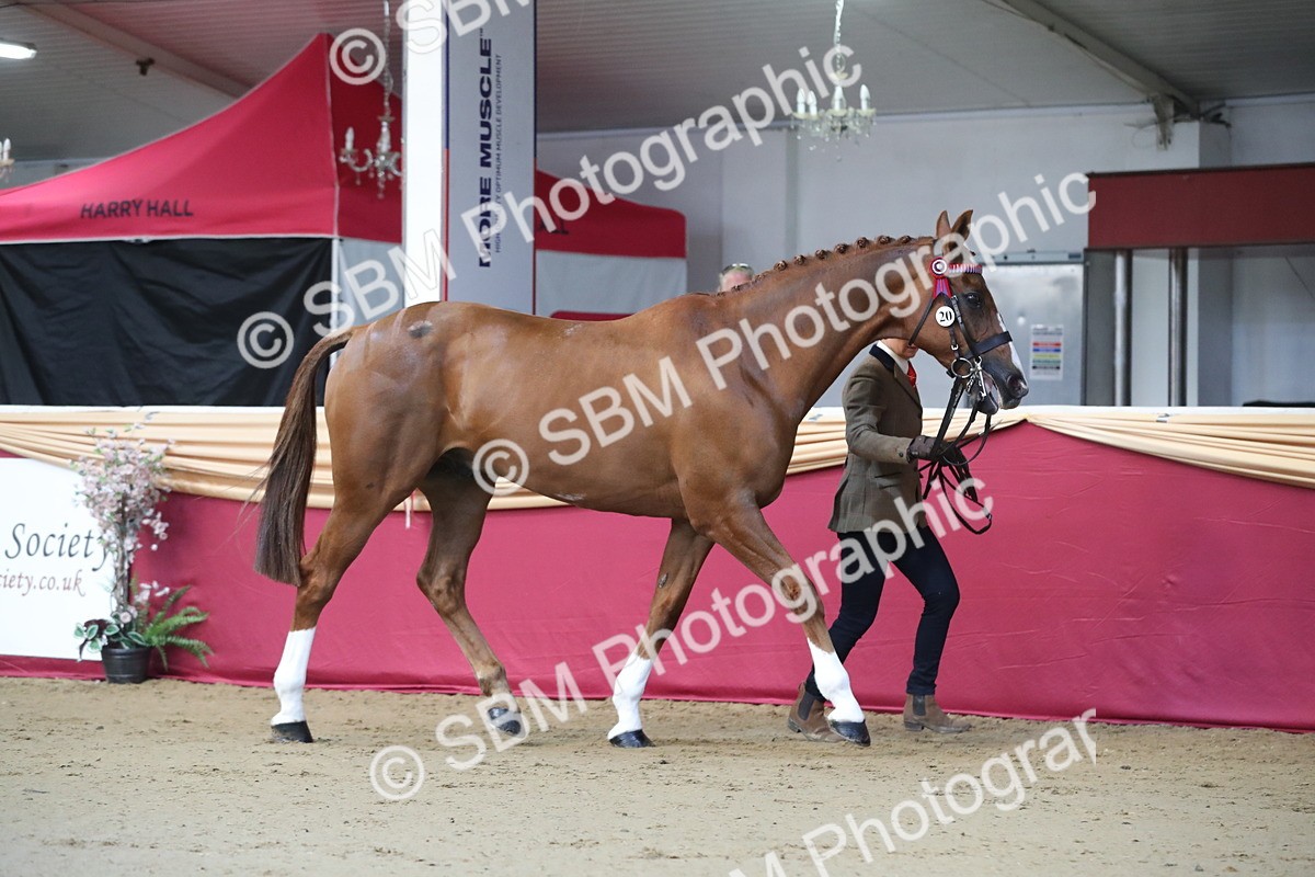 SBM_00517 - class 2a Area IH Veteran