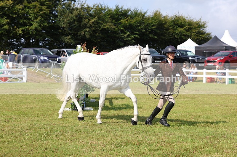 3E7A9135 - Class 3: Rising Star S/L Hunter