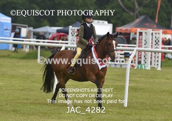 JAC_4282 - WORKING HUNTER CHAMPIONSHIP