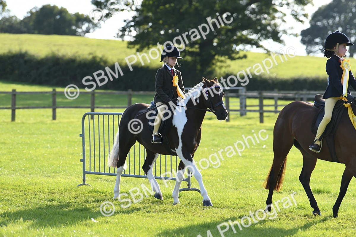 SBM_52465 - S22 - 1st Ridden Show & Show Hunter Pony