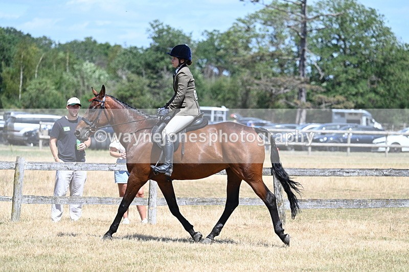 WJ7_2816 - Class 7 Riding Club Show Horse