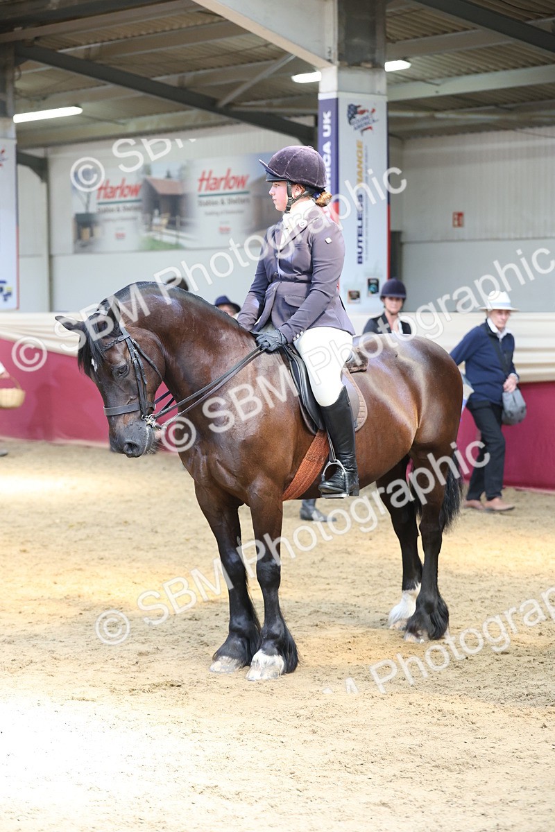 SBM_24123 - Class 905 - Supreme Final - Ridden Veteran