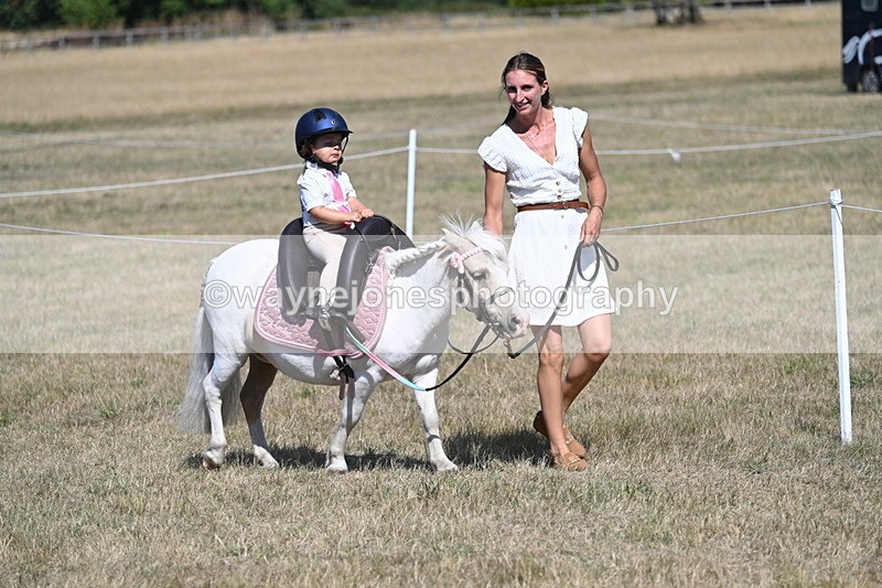 WJ7_1143 - Class 41 Prettiest Mare