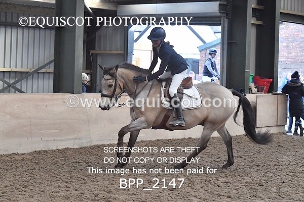 BPP_2147 - CLASS 12 Pony Newcomers/ 1m Open