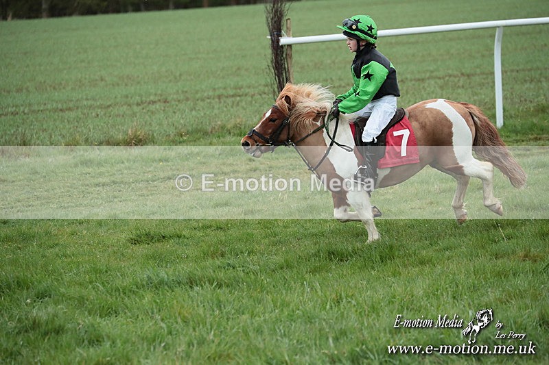 SHETPR 210425 219 - Shetland Ponies Paxford Races 21/04/25
