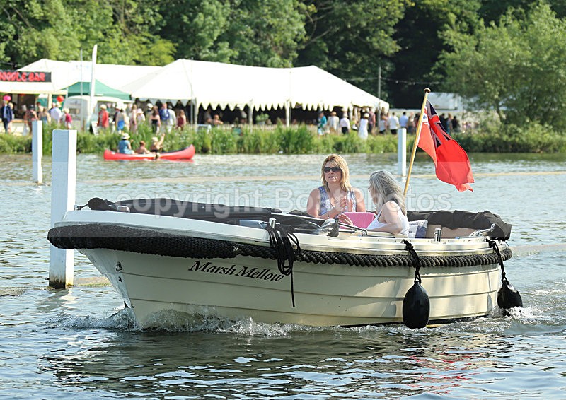 130705 MARSH MELLOW WT7A0316 - HENLEY ROYAL REGATTA - Friday 5th July 2013