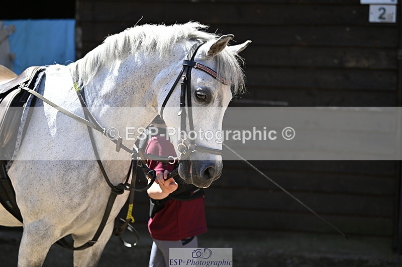 240728B-114441-00321 - Sunday Stable Shots and Fancy Dress