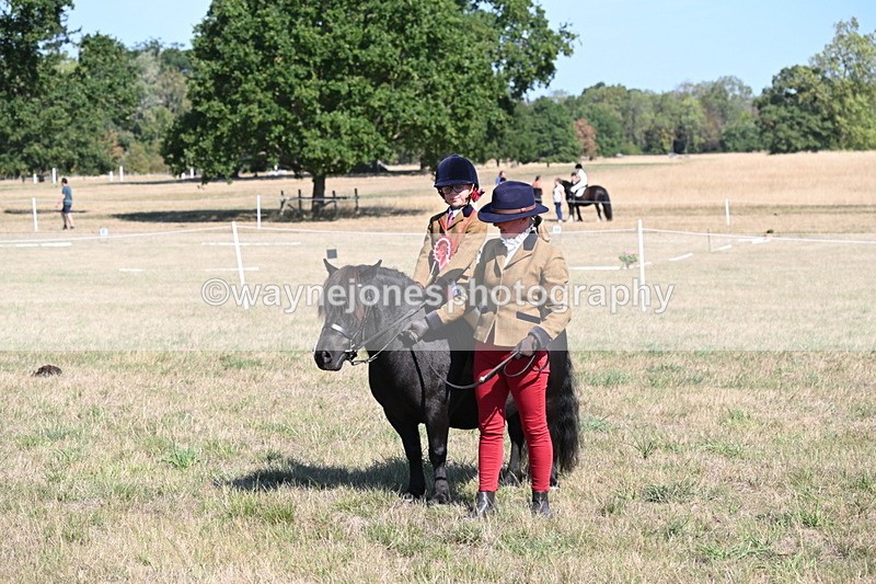 WJ6_7645 - Class 34 Judges Choice