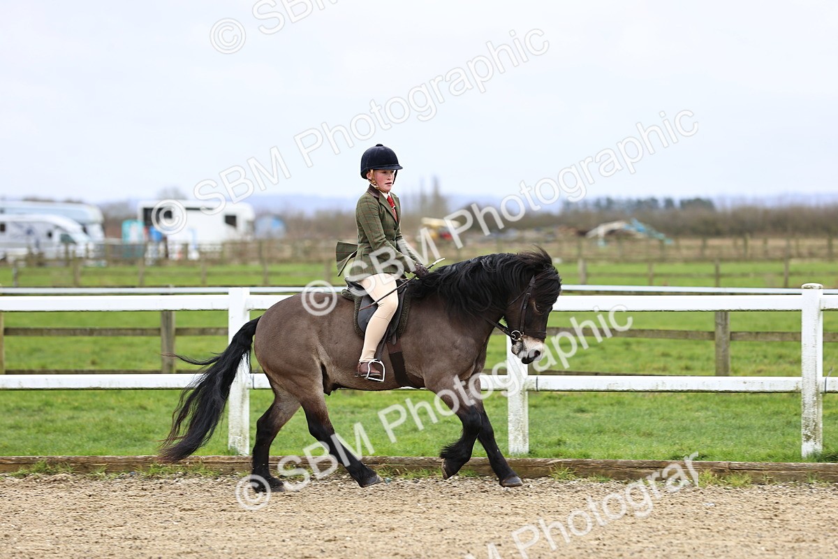 SBM_006762 - Class 29 - 30 - M&M Pure Novice Small-Large Breeds