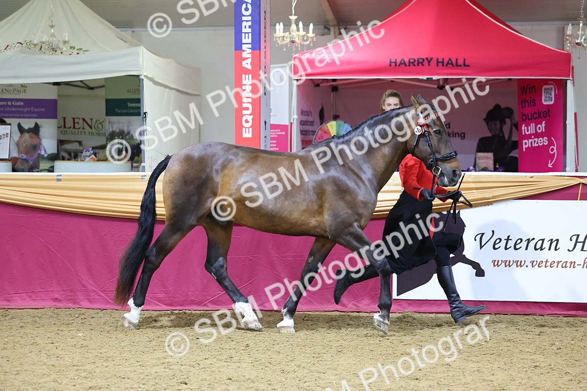 SBM_20791 - Class 902 - Supreme Final IH Veteran