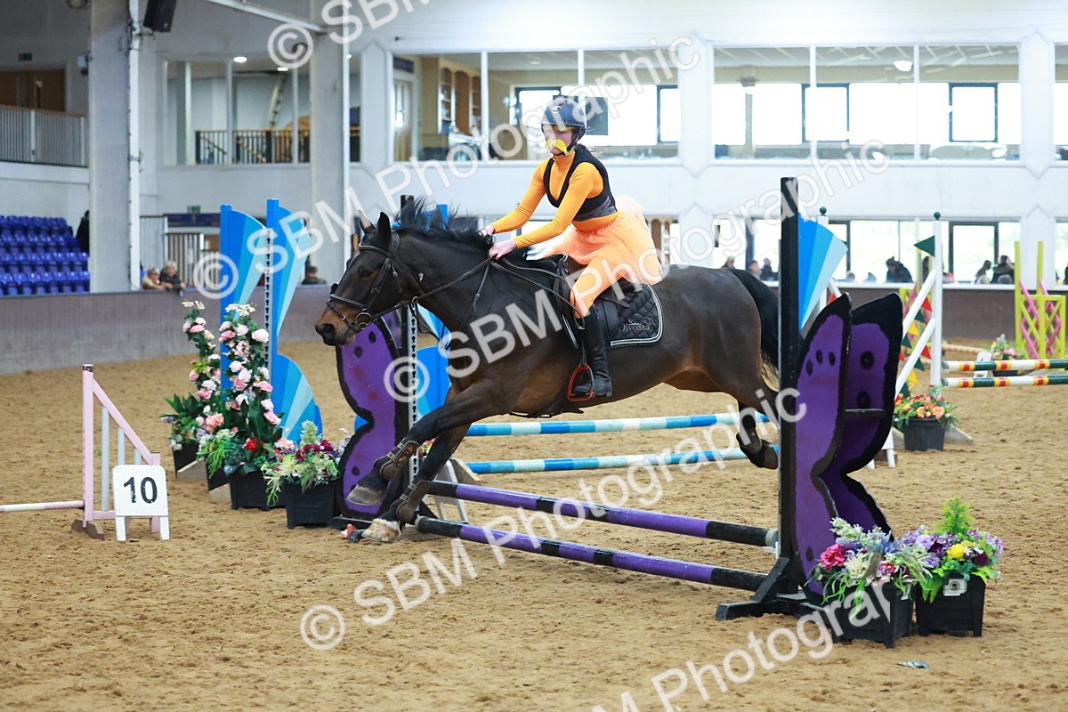 SBM_002338 - Class 3 - Horse & Hound (60cm)