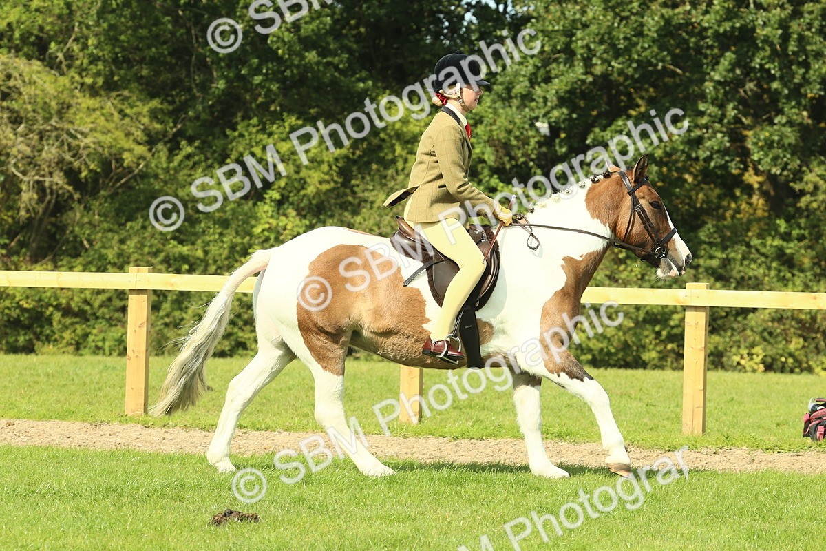 SBM_67465 - S56 - Coloured Pony Ridden