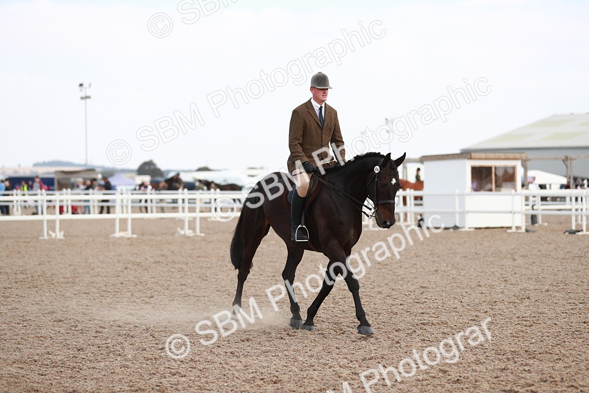 SBM_15517 - Class 213 Ridden Hunter -Large
