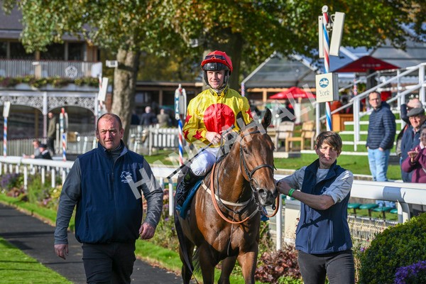 111024-Race 5-Vince LAmour-2055 - Race 5 3.45pm Copper Knight - Winning Most Horse At York Handicap