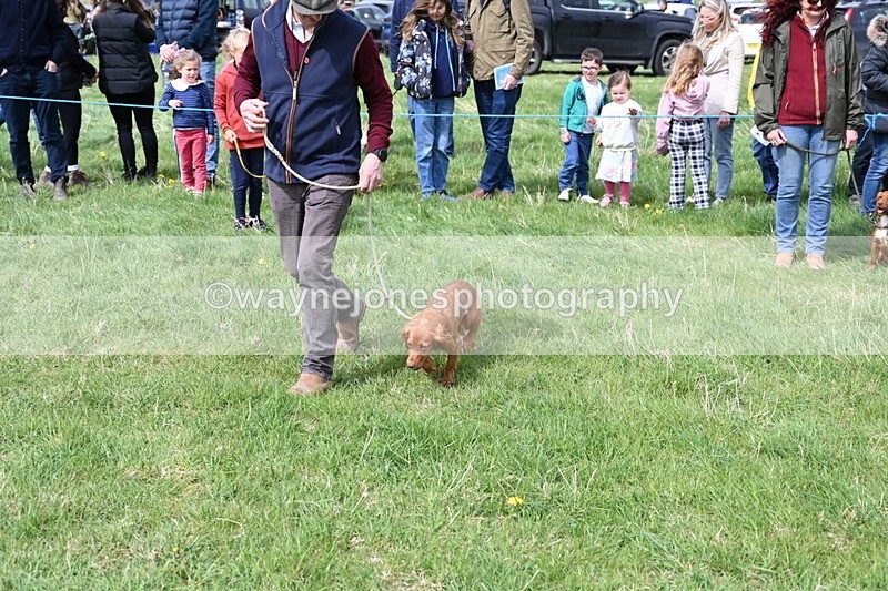 WJ6_8324 - Class 4 Prettiest Bitch