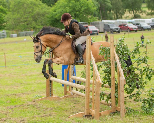 Dunblane show-455 - Dunblane and Doune Show Ring 1