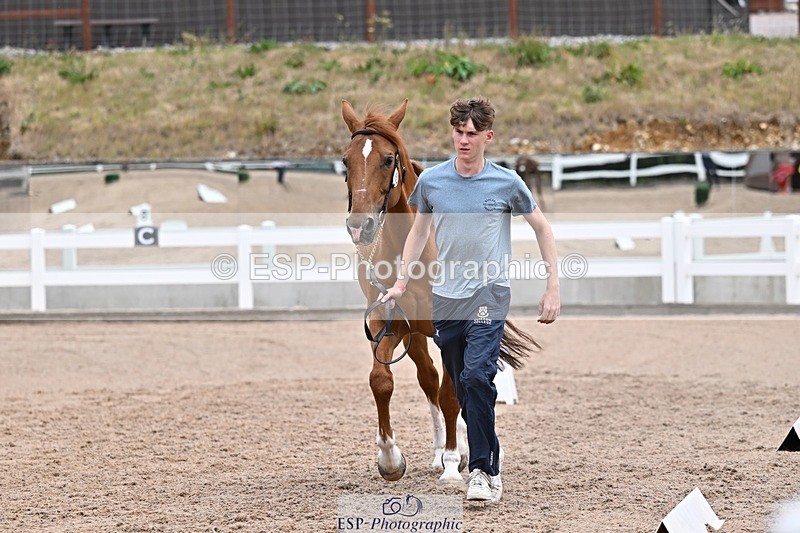 250716-133417-00578 - Trot Up 1.30 to 2.30